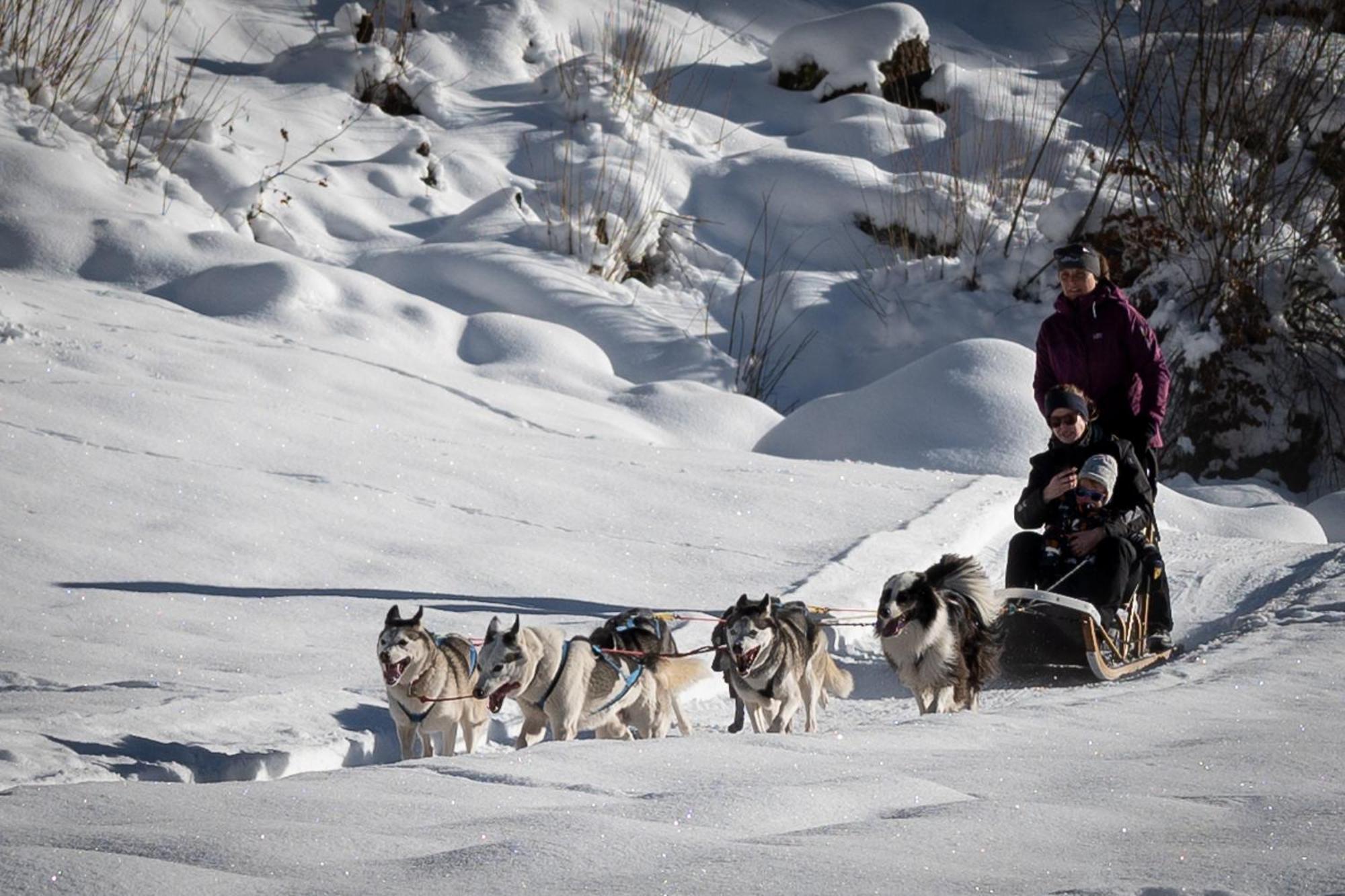 Huettenhotel Husky Lodge Muotathal エクステリア 写真