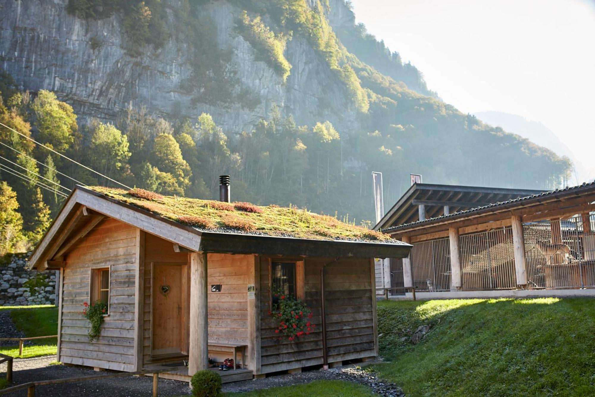 Huettenhotel Husky Lodge Muotathal エクステリア 写真